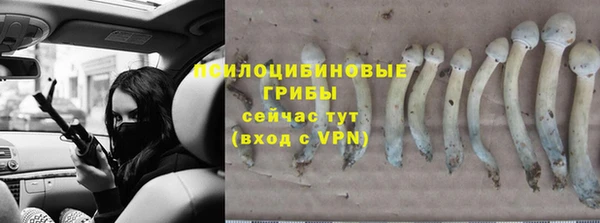 трава Киренск