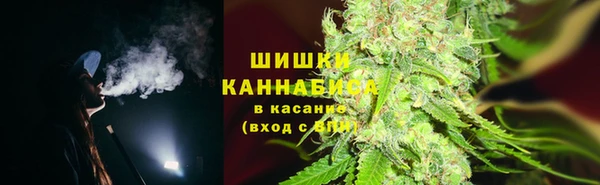 твердый Кодинск