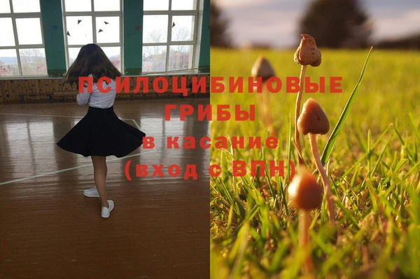 mdpv Кинешма