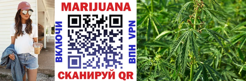 Канабис OG Kush  Купить  Голицыно 